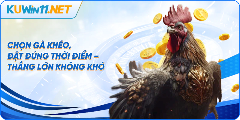 Chọn gà khéo, đặt đúng thời điểm – thắng lớn không khó