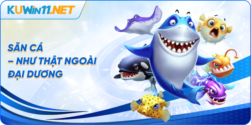 Săn cá – Như thật ngoài đại dương