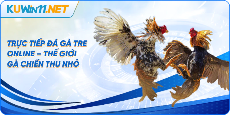 Trực tiếp đá gà tre online